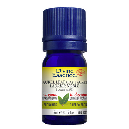 Picture of Organic Essential Oil Laurel Leaf (Bay Laurel)  5 Ml