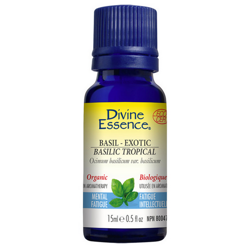 Picture of Basil-Exotic Essential Oil Organic  15 Ml