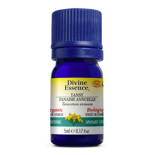 Picture of Orgnic Chamomile Blue (Tansy) Essential Oil  5 Ml