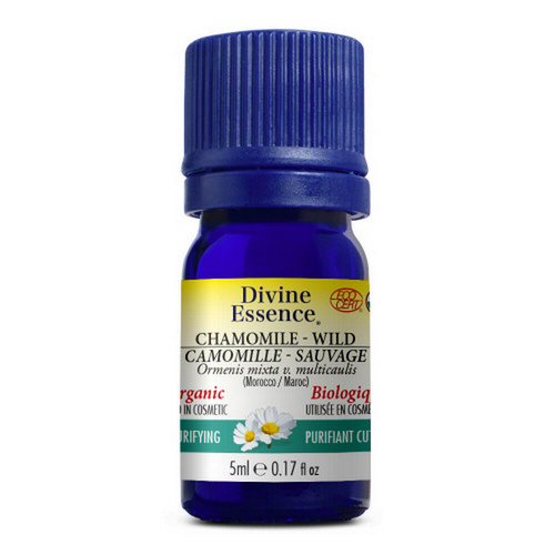 Picture of Organic Wild Chamomile (Morocco) Essential Oil  5 Ml