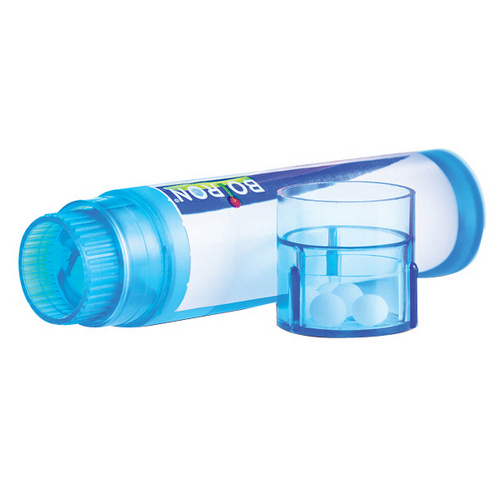 Show details for Nux Vomica 200 Ch  80 Count Picture of Nux Vomica 200 Ch  80 Count