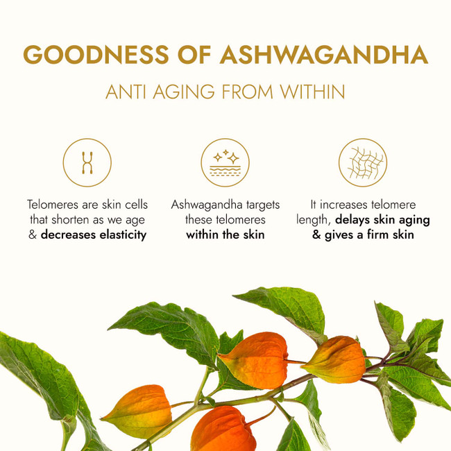 Picture of Kapiva Ayurveda Ashwagandha Anti Aging Face Oil - 30ml