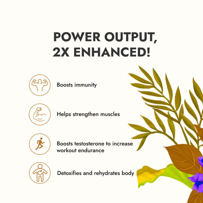 Picture of Kapiva Ayurveda Power Up Combo