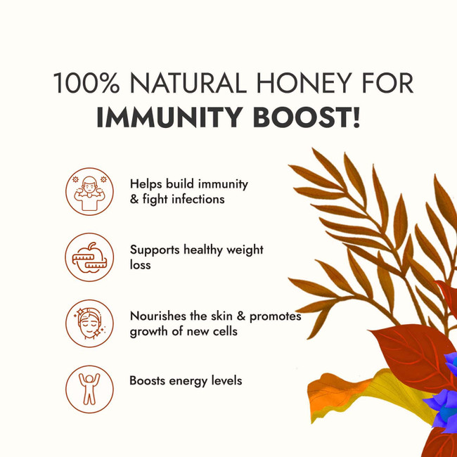 Picture of Kapiva Ayurveda Raw Honey (Madhu) 500g