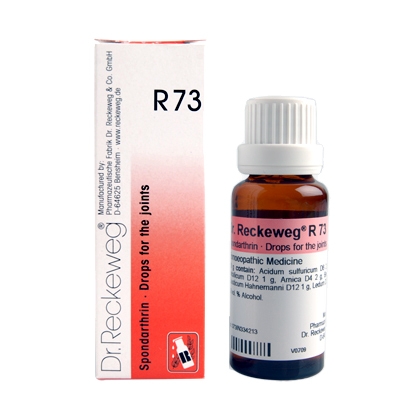 Show details for Dr. Reckeweg R73 22ml Joint-Pain Drops Picture of Dr. Reckeweg R73 22ml Joint-Pain Drops