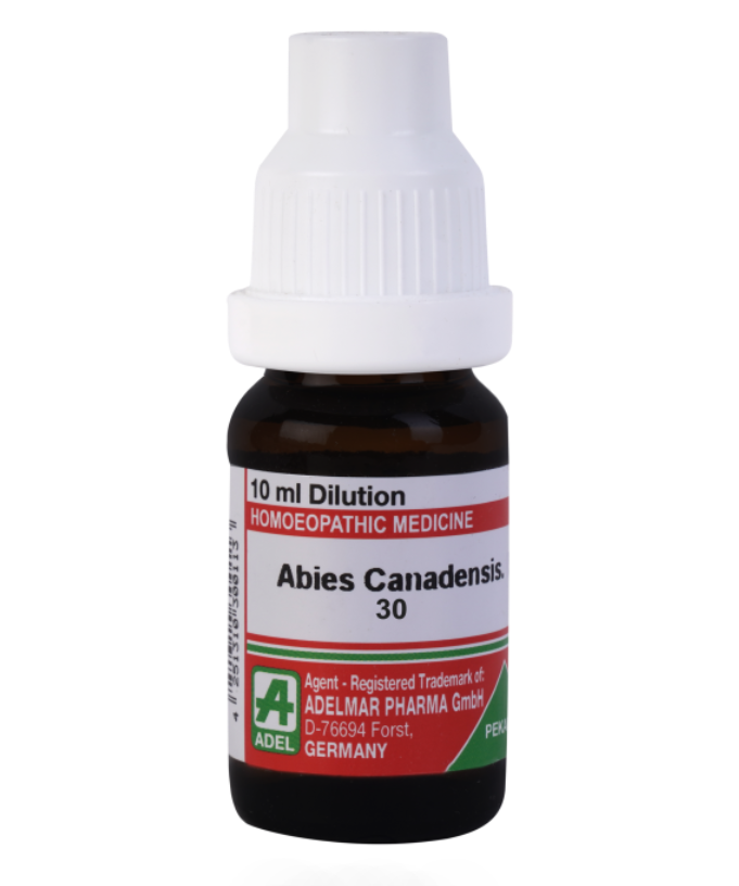 Picture of ADEL Abies Canadensis Dilution - 10 ml