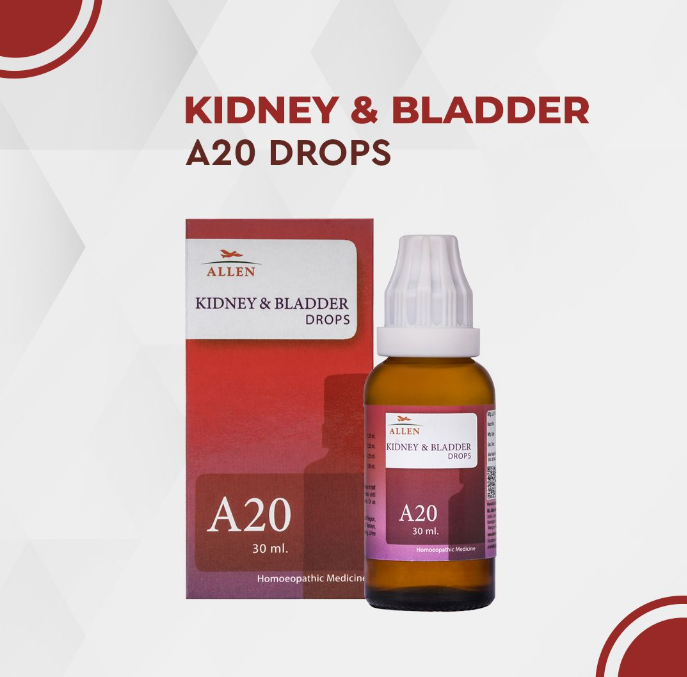 Picture of Allen Homeopathy A20 Kidney & Bladder Drops  - 30 ML