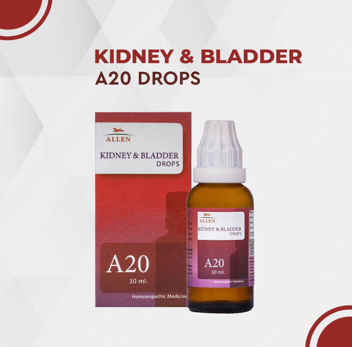 Show details for Allen Homeopathy A20 Kidney & Bladder Drops  - 30 ML Picture of Allen Homeopathy A20 Kidney & Bladder Drops  - 30 ML