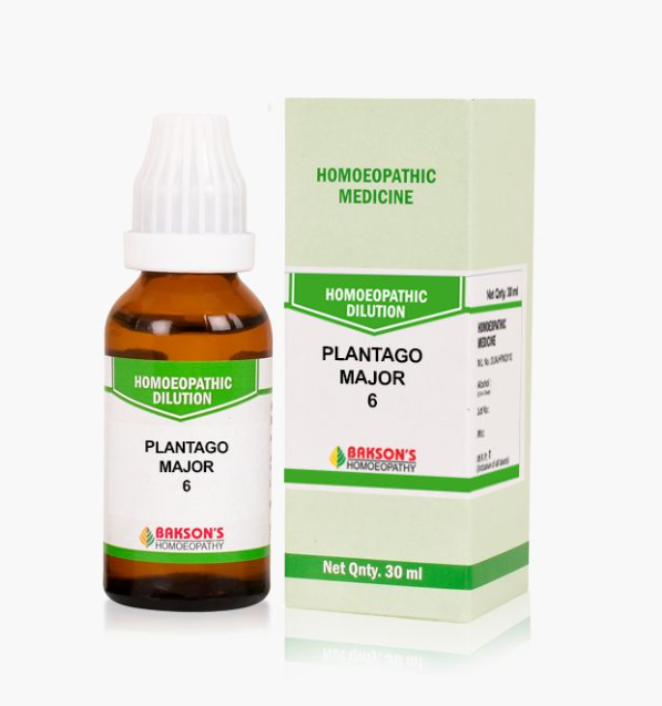 Show details for Bakson's Homeopathy Plantago Major Dilution - 30 ML Picture of Bakson's Homeopathy Plantago Major Dilution - 30 ML