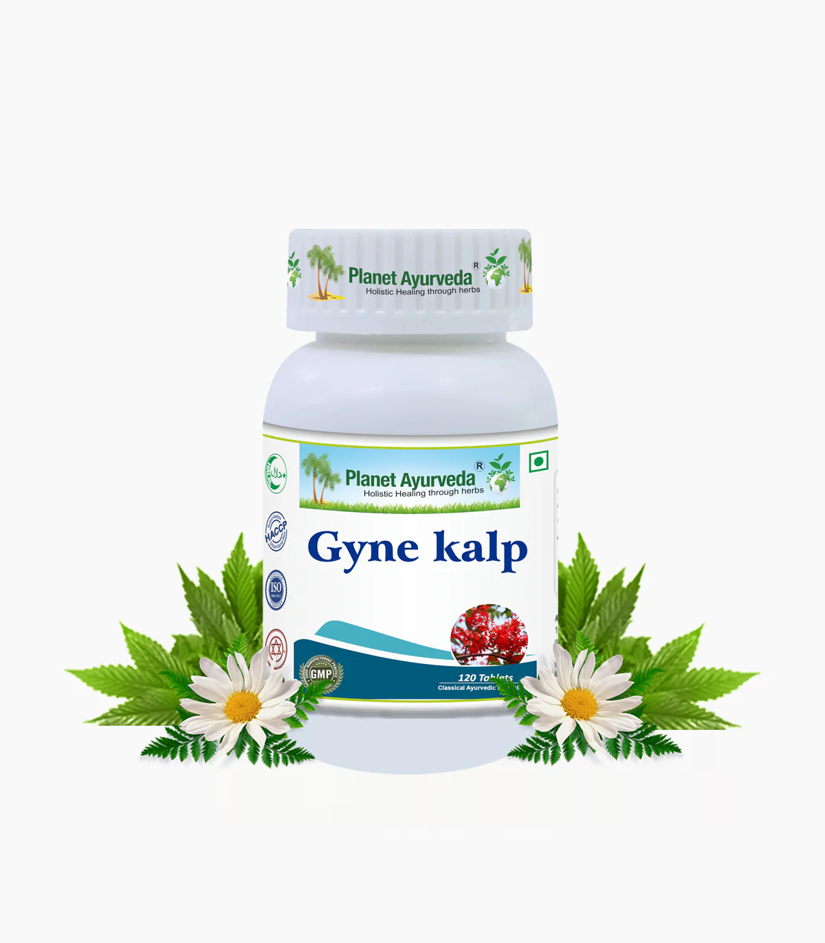 Picture of Planet Ayurveda Gyne Kalp Tablets - 120 Tabs