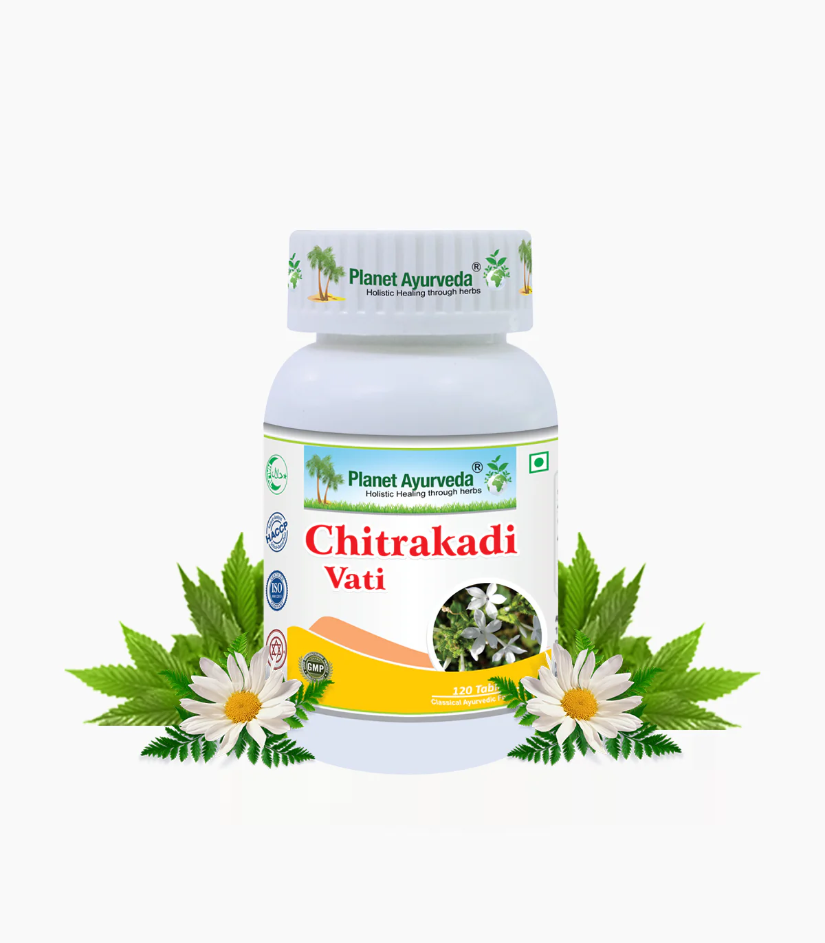 Picture of Planet Ayurveda Chitrakadi Vati - 120 Tabs