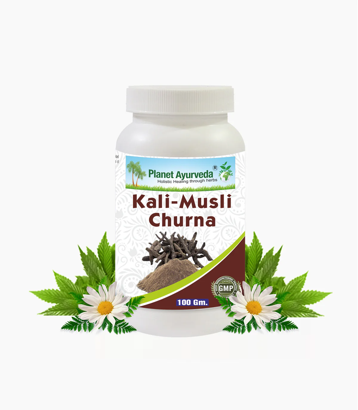 Show details for Planet Ayurveda Kali Musli Churna - 100 GM Picture of Planet Ayurveda Kali Musli Churna - 100 GM