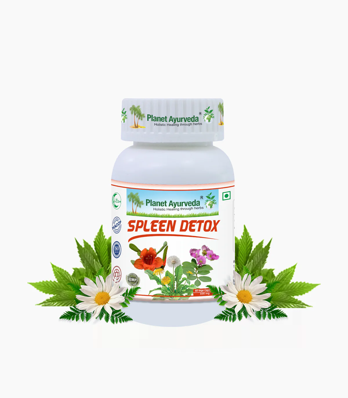 Show details for Planet Ayurveda Spleen Detox Capsules - 60 Veg Caps Picture of Planet Ayurveda Spleen Detox Capsules - 60 Veg Caps