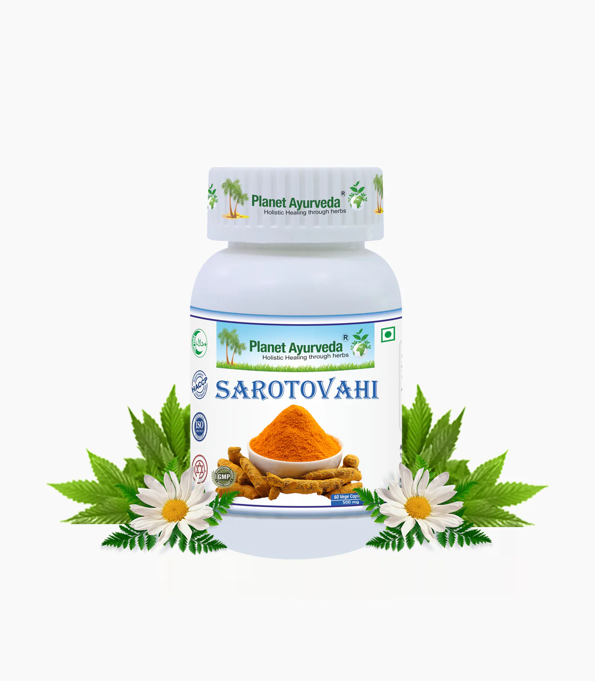 Picture of Planet Ayurveda Sarotovahi Capsules - 60 Veg Caps