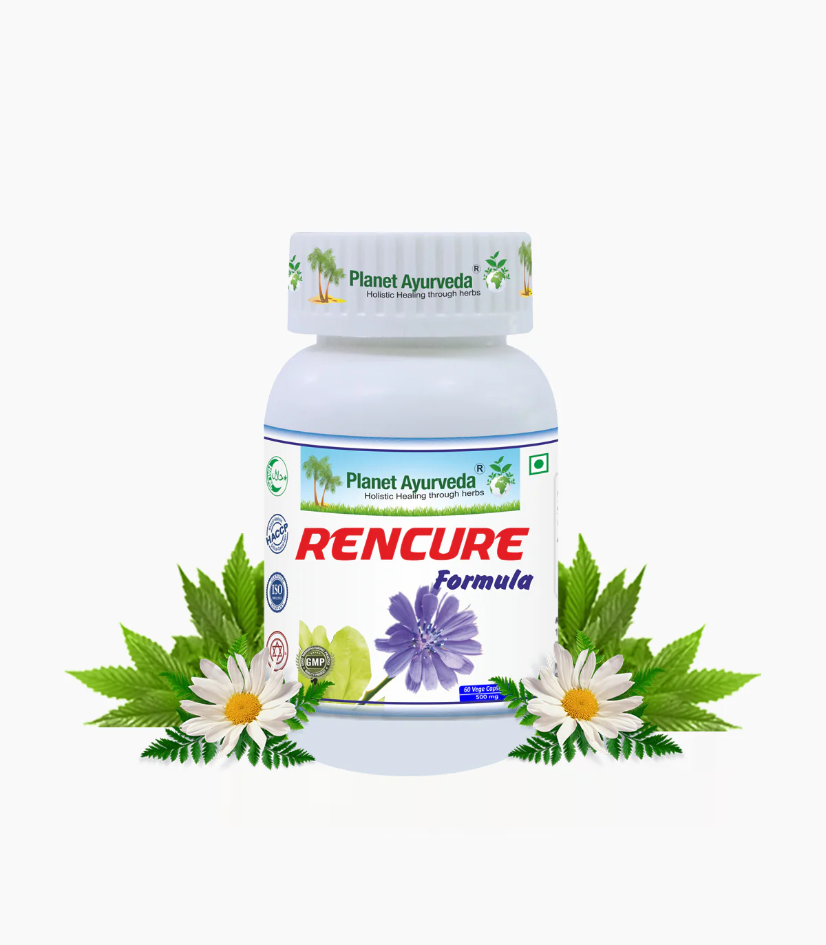 Picture of Planet Ayurveda Rencure Formula Capsules - 60 Veg Caps