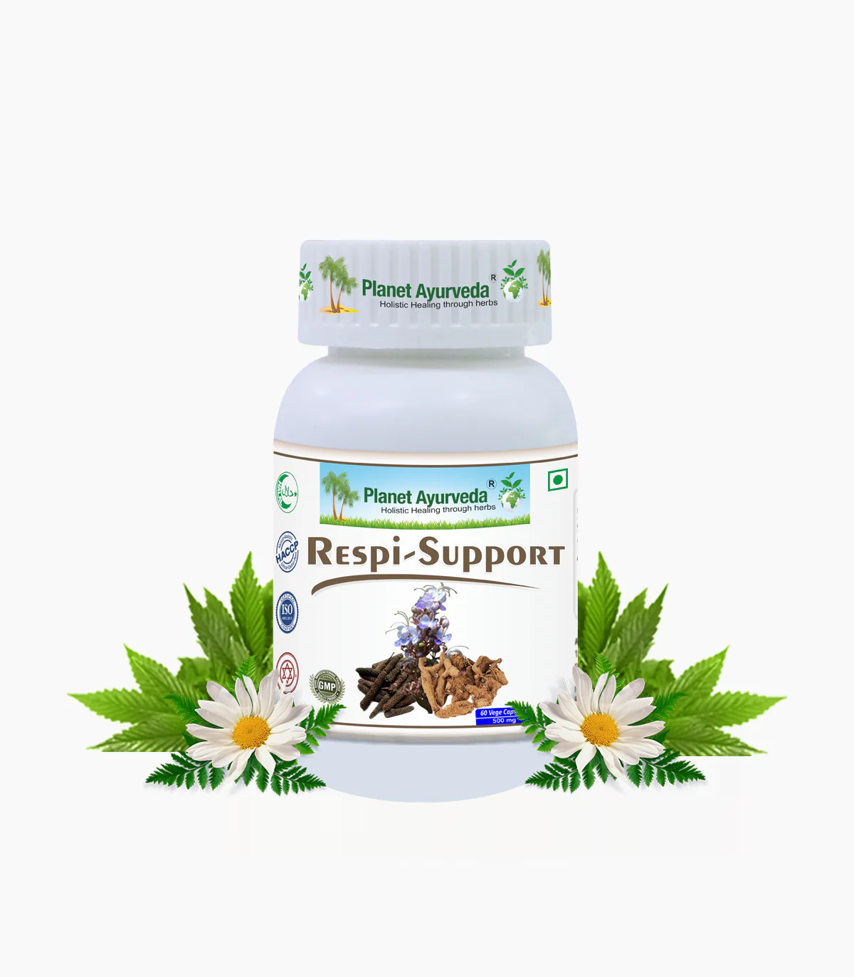 Picture of Planet Ayurveda Respi Support Capsules - 60 Veg Caps