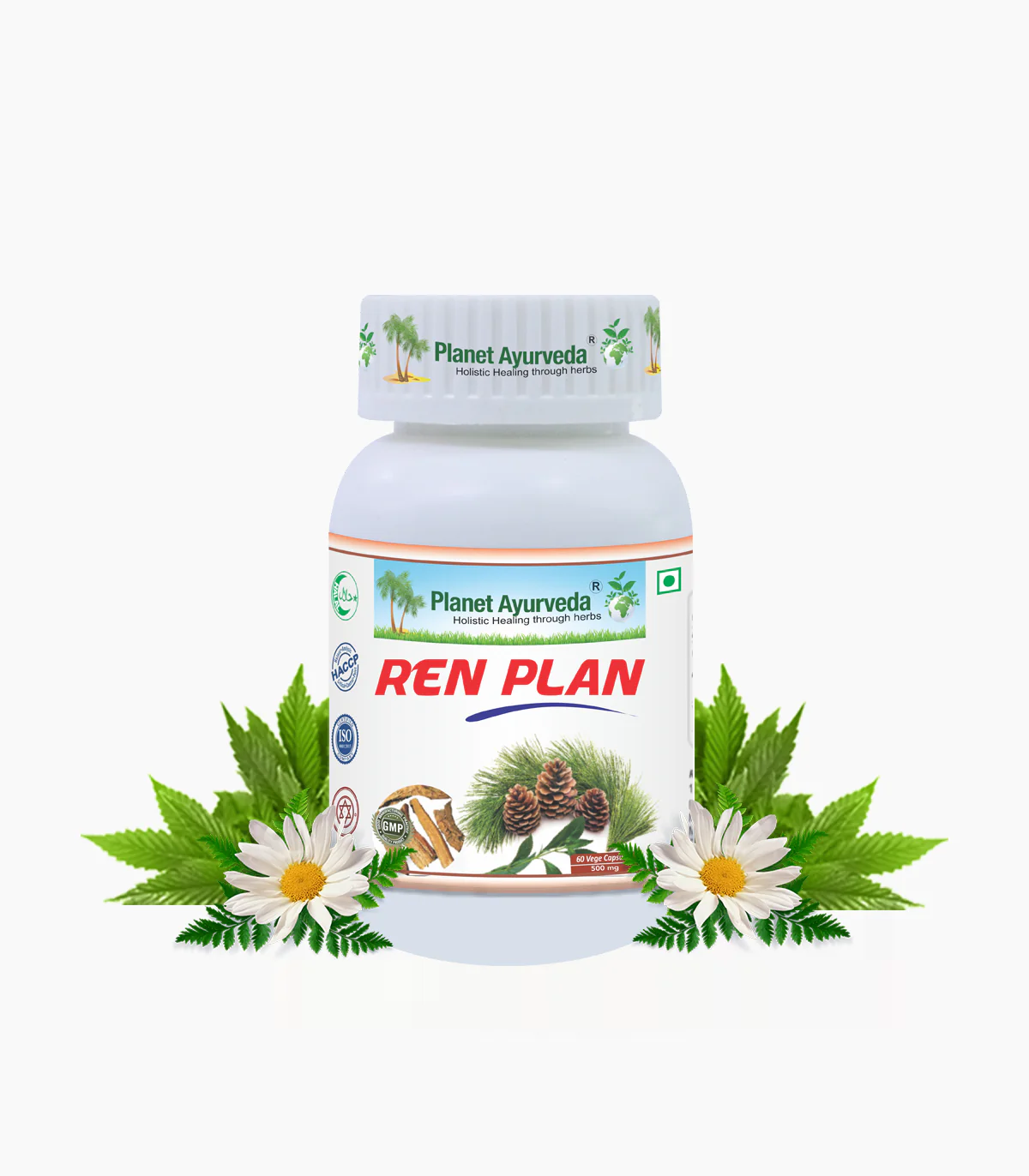 Picture of Planet Ayurveda Ren Plan Capsules - 60 Veg Caps