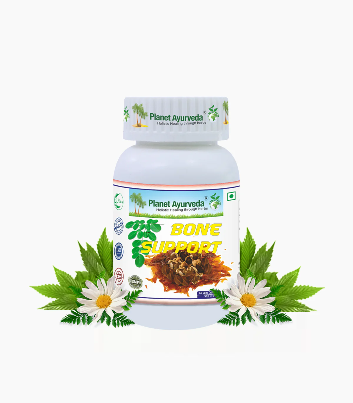 Picture of Planet Ayurveda Osteo Plan Capsules - 60 Veg Caps