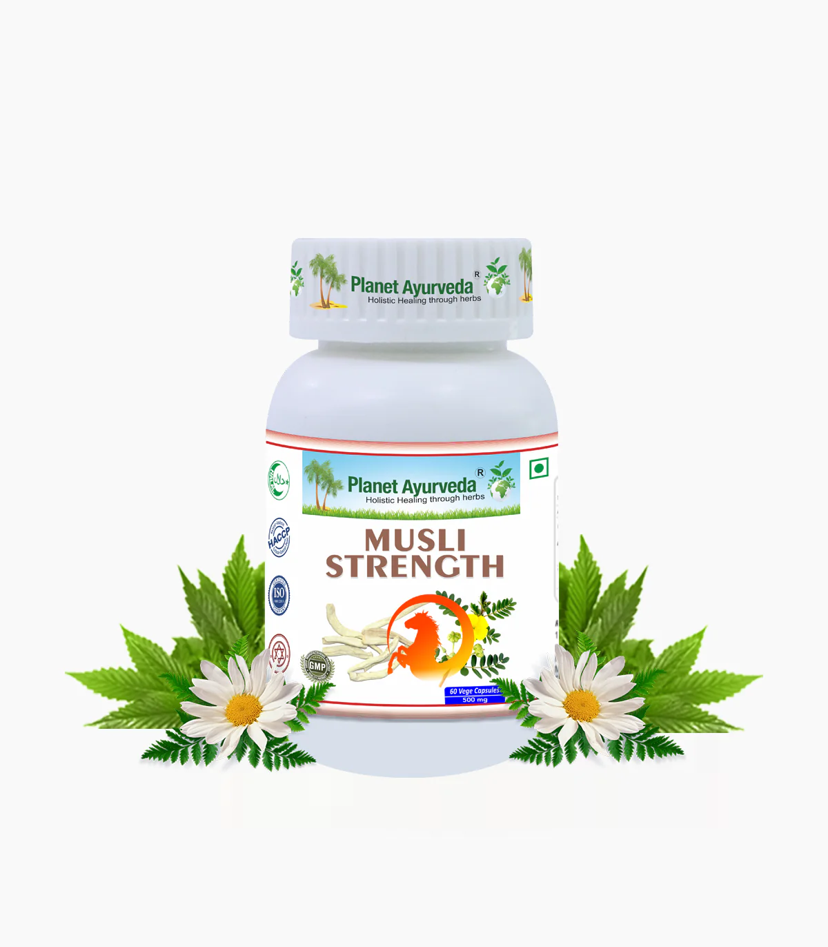 Picture of Planet Ayurveda Musli Strength capsules - 60 Veg Caps