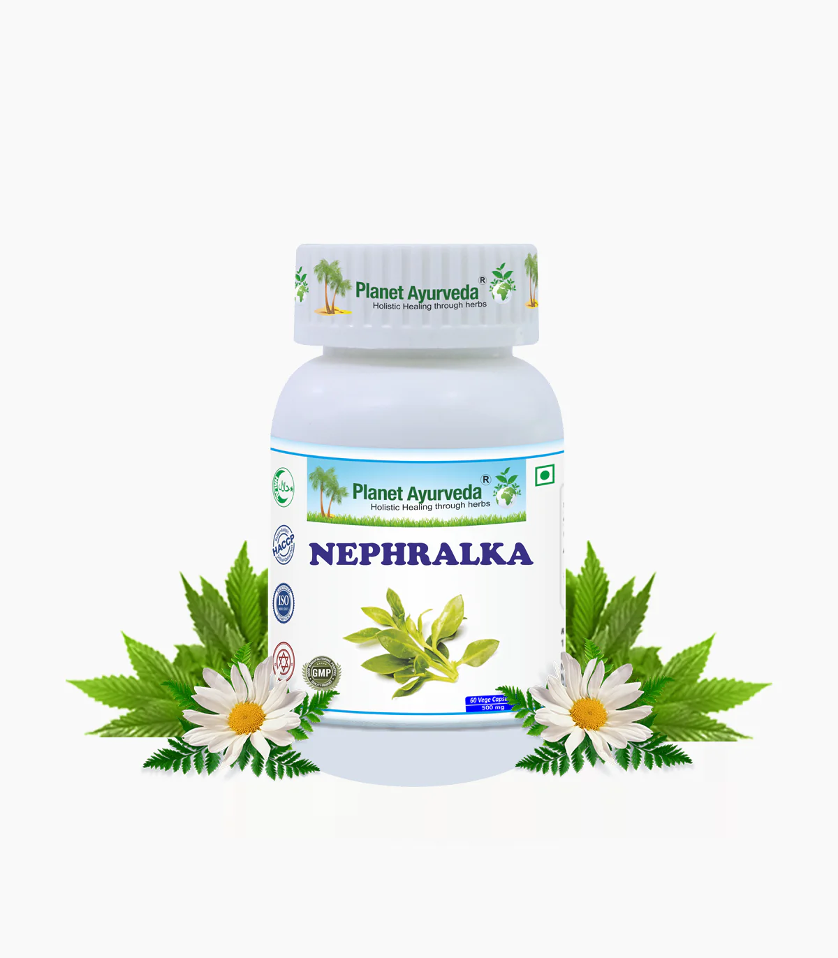 Picture of Planet Ayurveda Nephralka Capsules - 60 Veg Caps