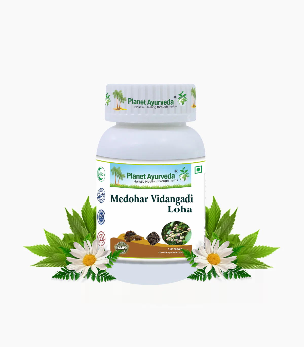 Picture of Planet Ayurveda Medohar Vidangadi Loha Tablets - 120 Tabs