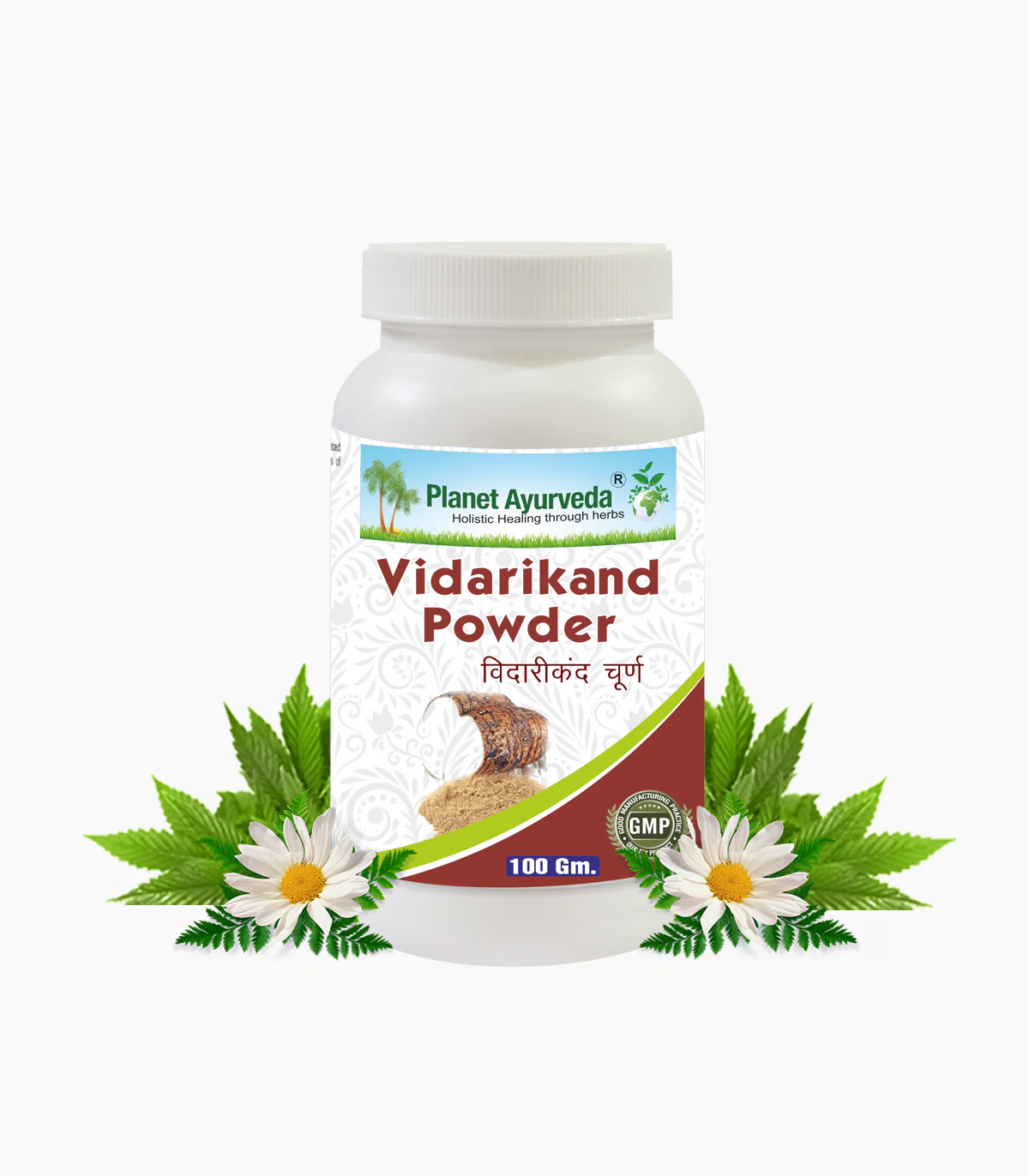 Show details for Planet Ayurveda Vidarikand Powder - 100 GM Picture of Planet Ayurveda Vidarikand Powder - 100 GM