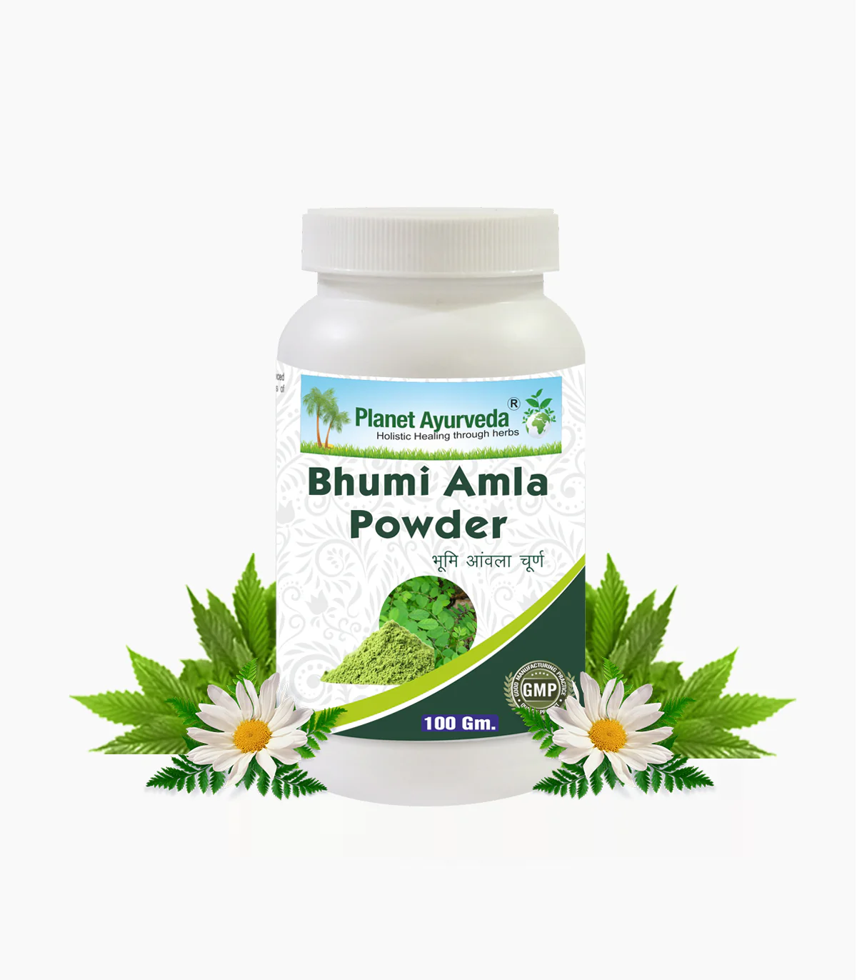 Picture of Planet Ayurveda Bhumi Amla Powder - 100 GM