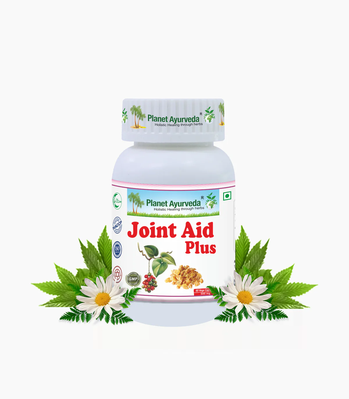 Picture of Planet Ayurveda Joint Aid Plus Capsules - 60 Veg Caps