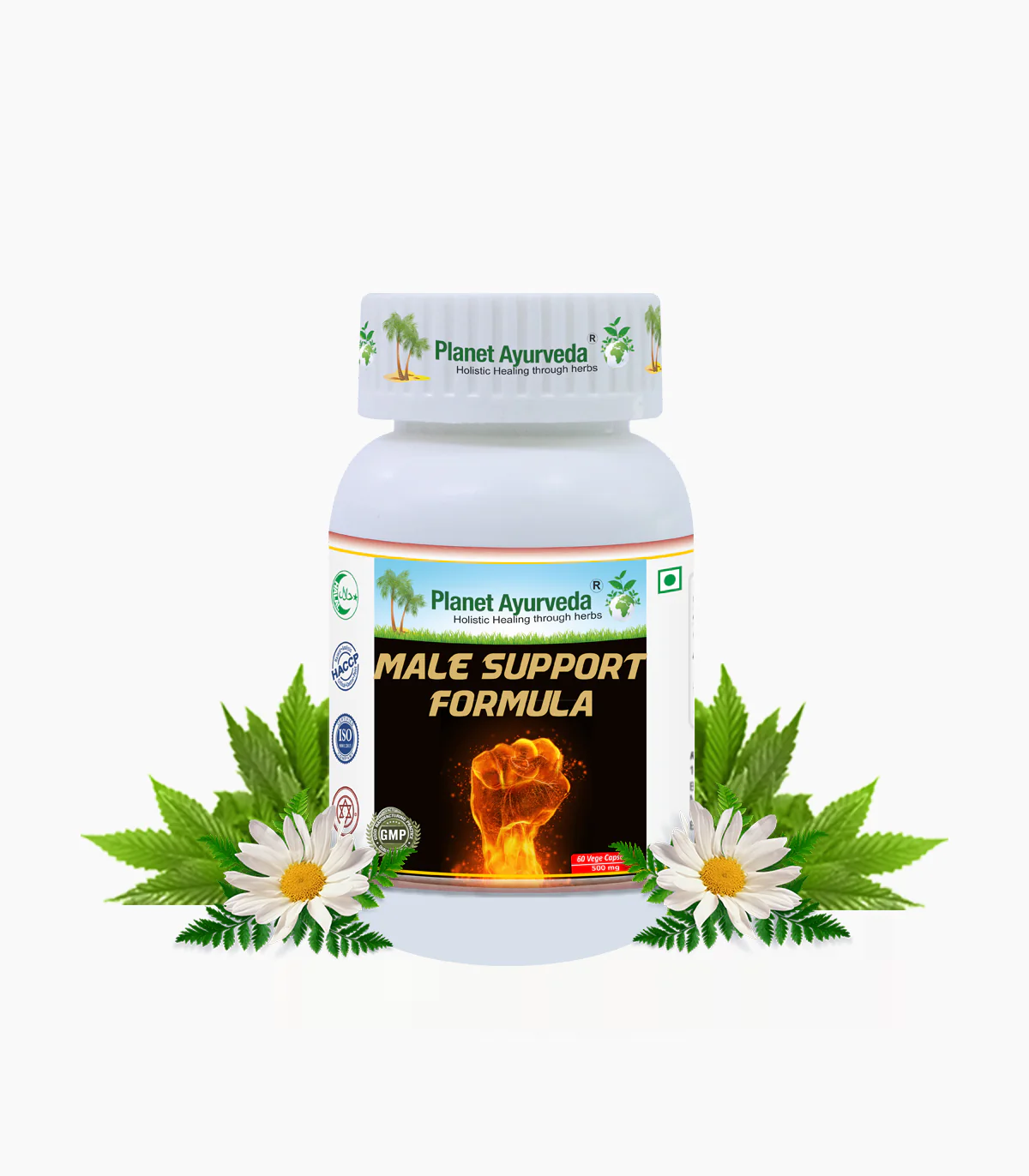 Picture of Planet Ayurveda Male Support Formula Capsules - 60 Veg Caps