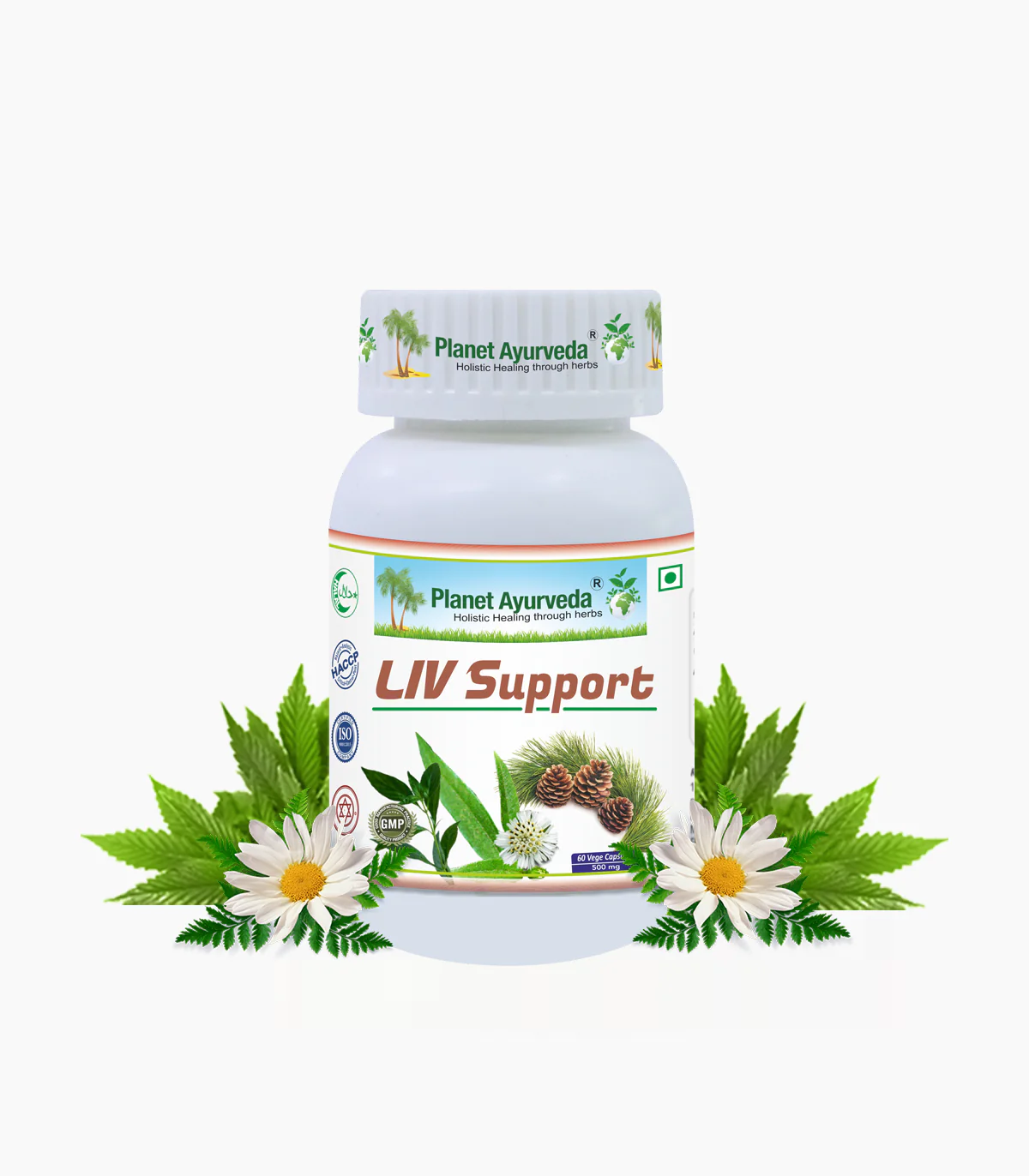 Picture of Planet Ayurveda Liv Support Capsules - 60 Veg Caps