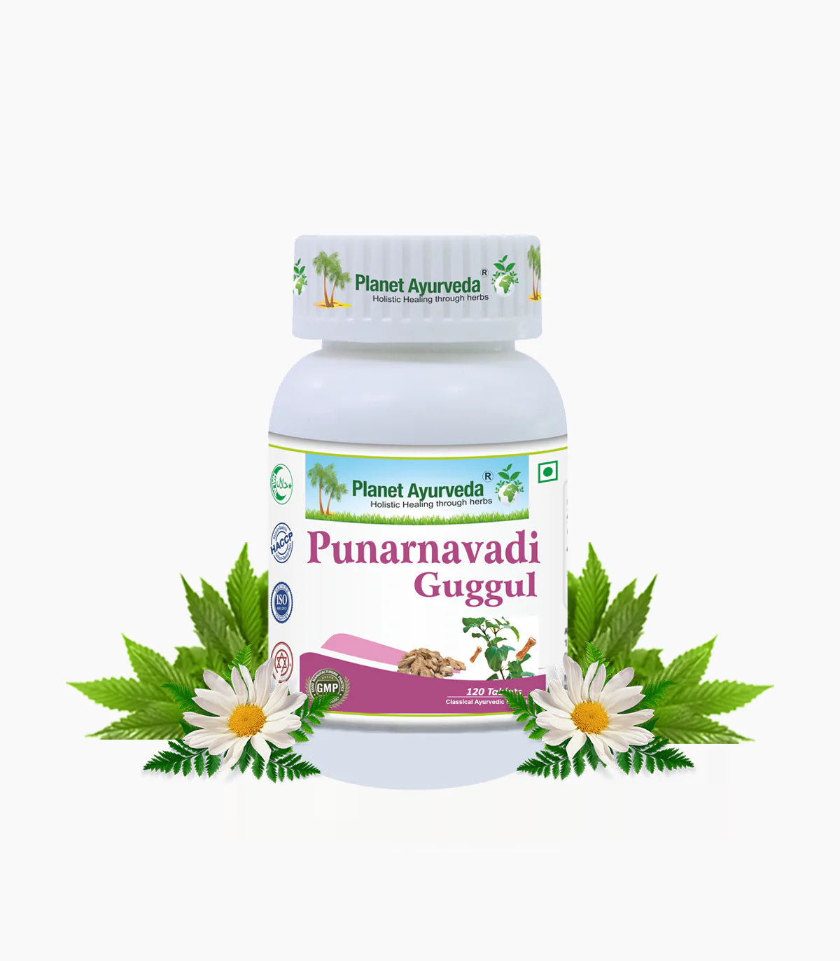 Show details for Planet Ayurveda Punarnavadi Guggul - 120 Tabs  Picture of Planet Ayurveda Punarnavadi Guggul - 120 Tabs
