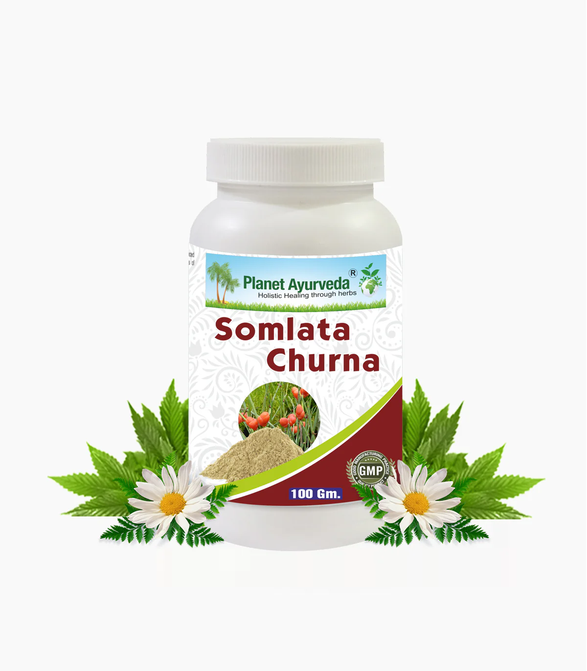 Show details for Planet Ayurveda Somlata Churna - 100 GM Picture of Planet Ayurveda Somlata Churna - 100 GM