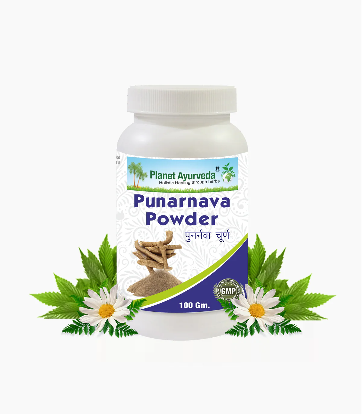 Picture of Planet Ayurveda Punarnava Powder - 100 GM