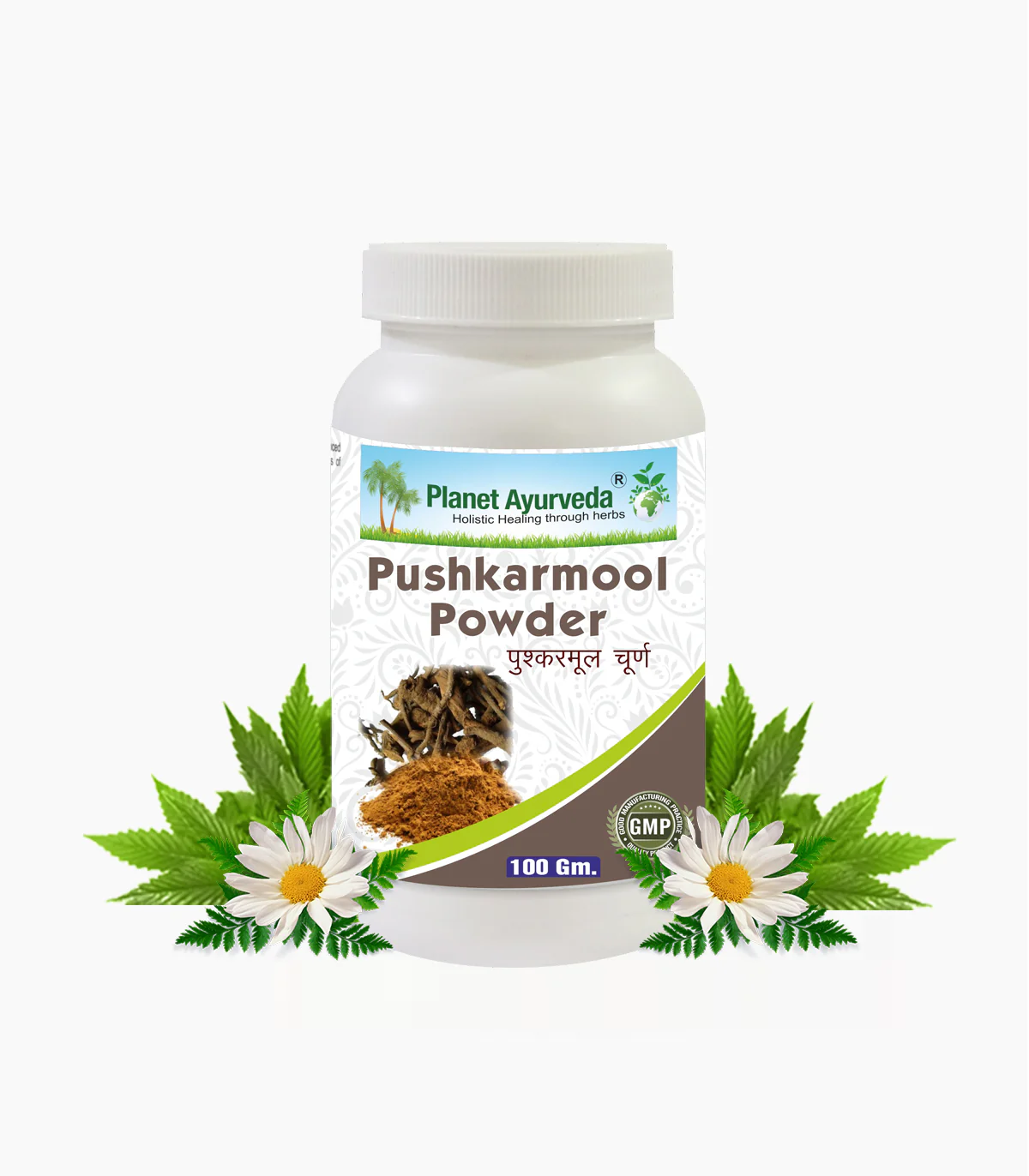 Show details for Planet Ayurveda Pushkarmool Powder - 100 GM Picture of Planet Ayurveda Pushkarmool Powder - 100 GM