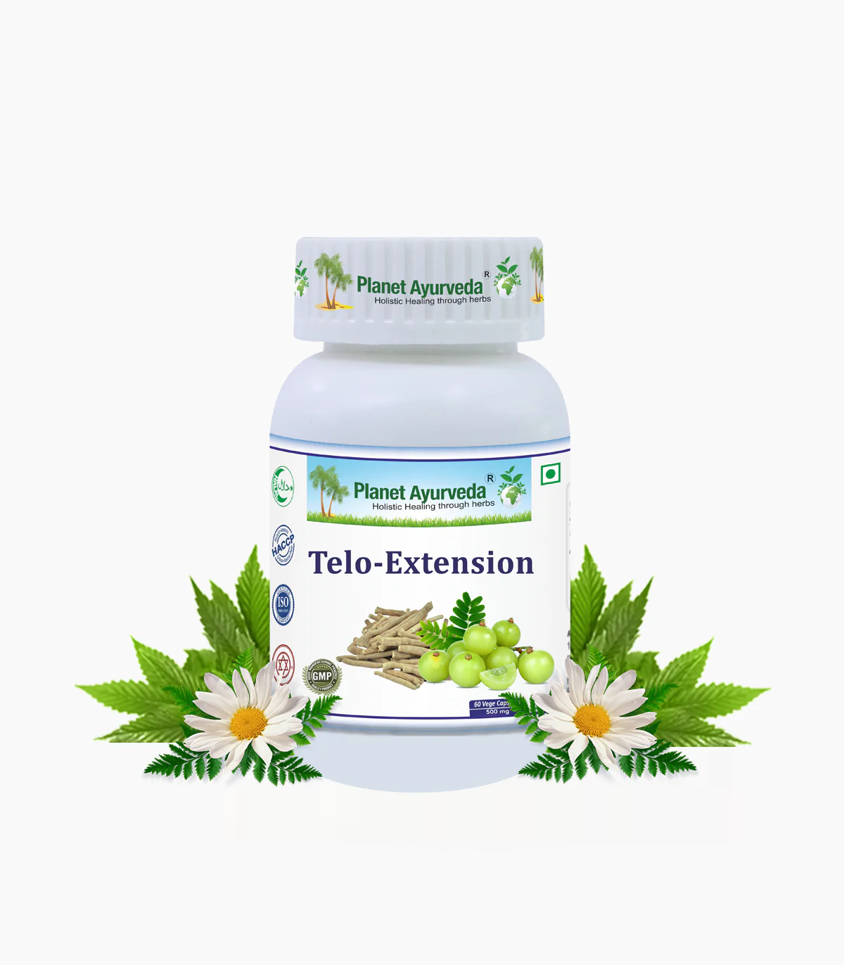 Picture of Planet Ayurveda Telo Extension Capsules - 60 Veg Caps