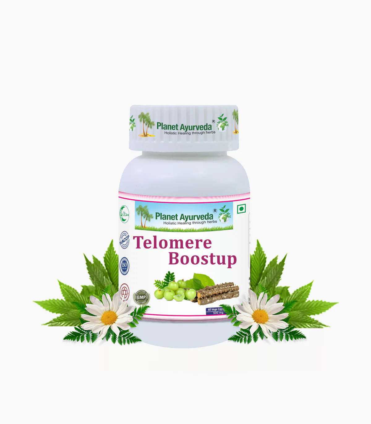 Show details for Planet Ayurveda Telomere Boostup Capsules - 60 Veg Caps Picture of Planet Ayurveda Telomere Boostup Capsules - 60 Veg Caps