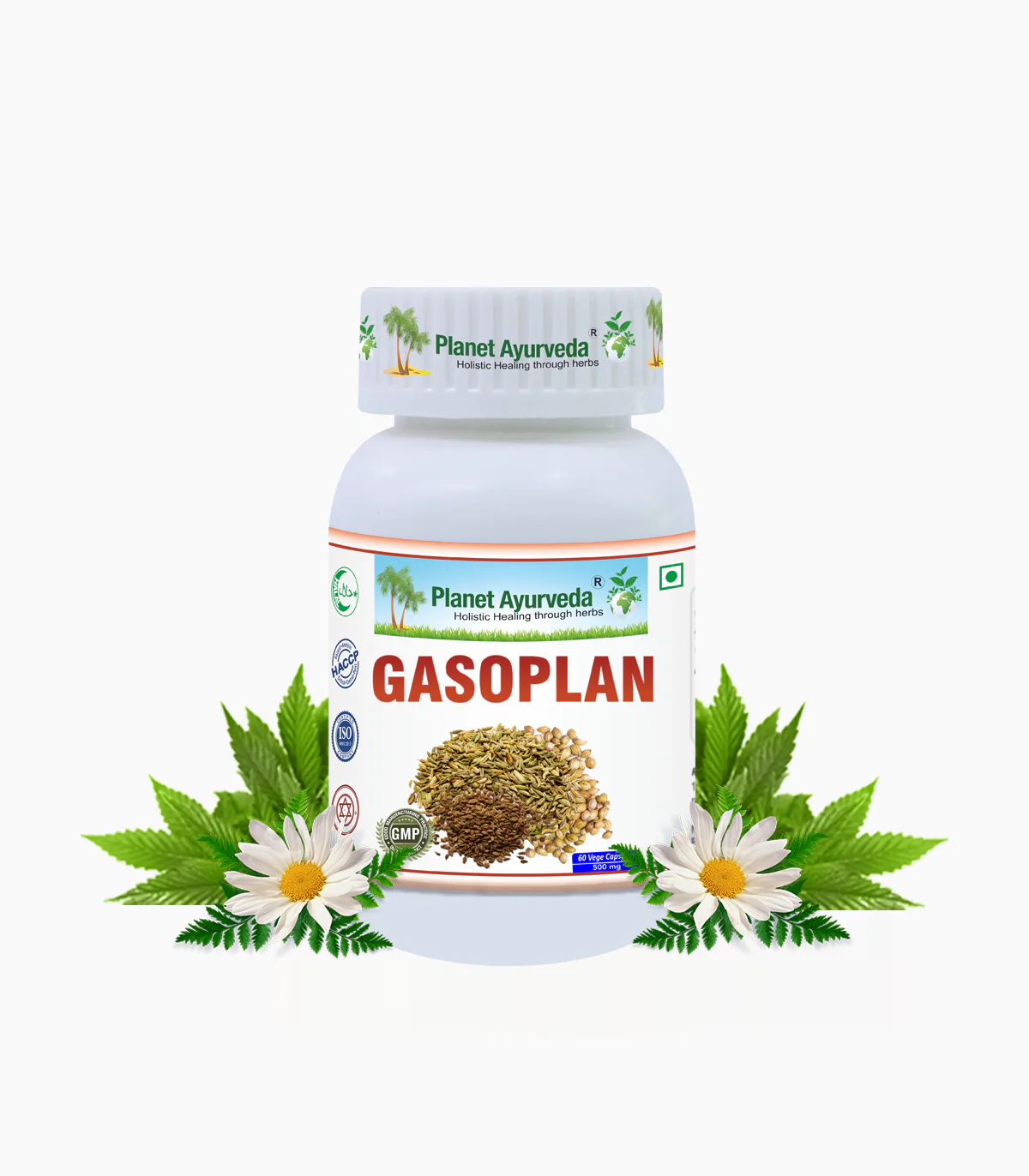 Picture of Planet Ayurveda Gasoplan Capsules - 60 Veg Caps