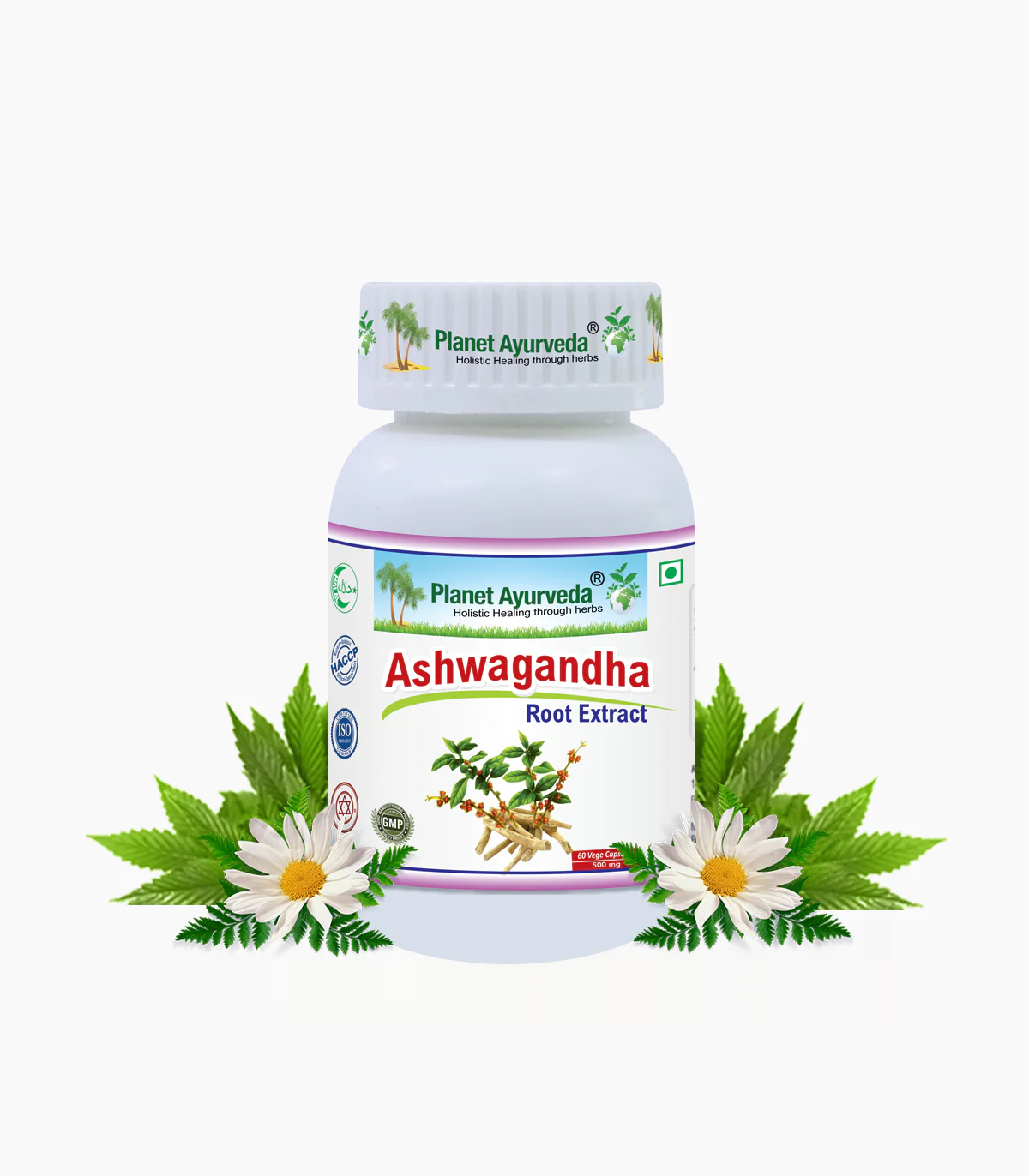 Picture of Planet Ayurveda Ashwagandha Capsules - 60 Veg Caps