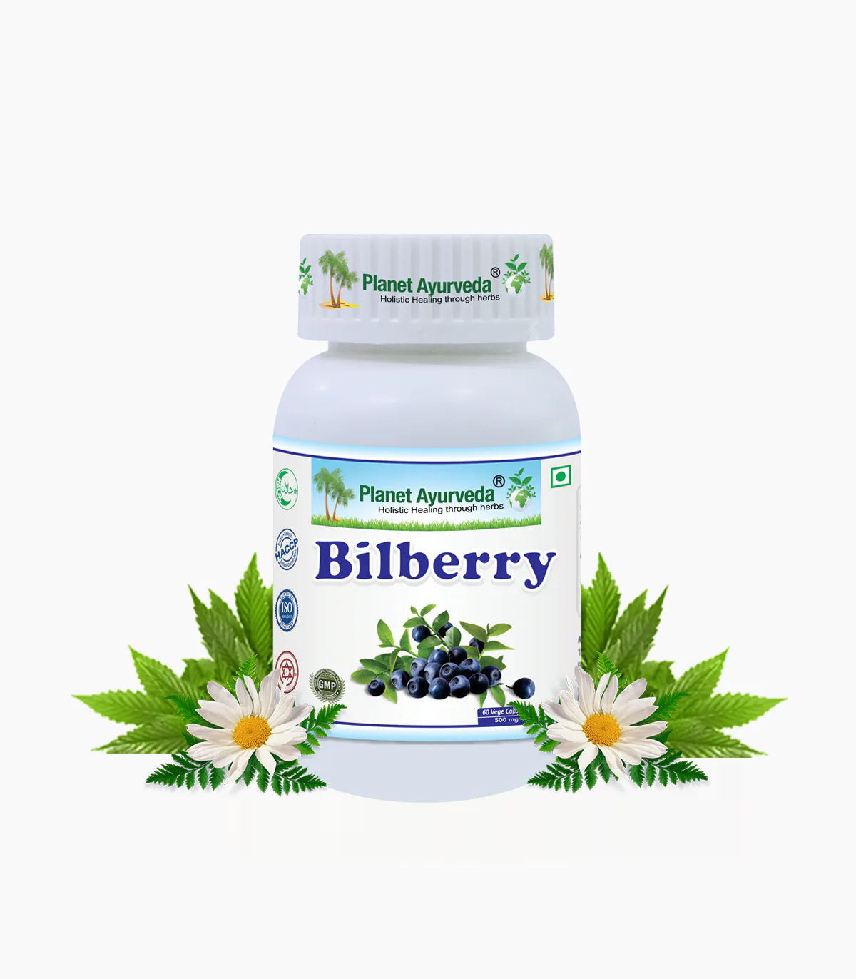 Picture of Planet Ayurveda Bilberry Capsules - 60 Veg Caps