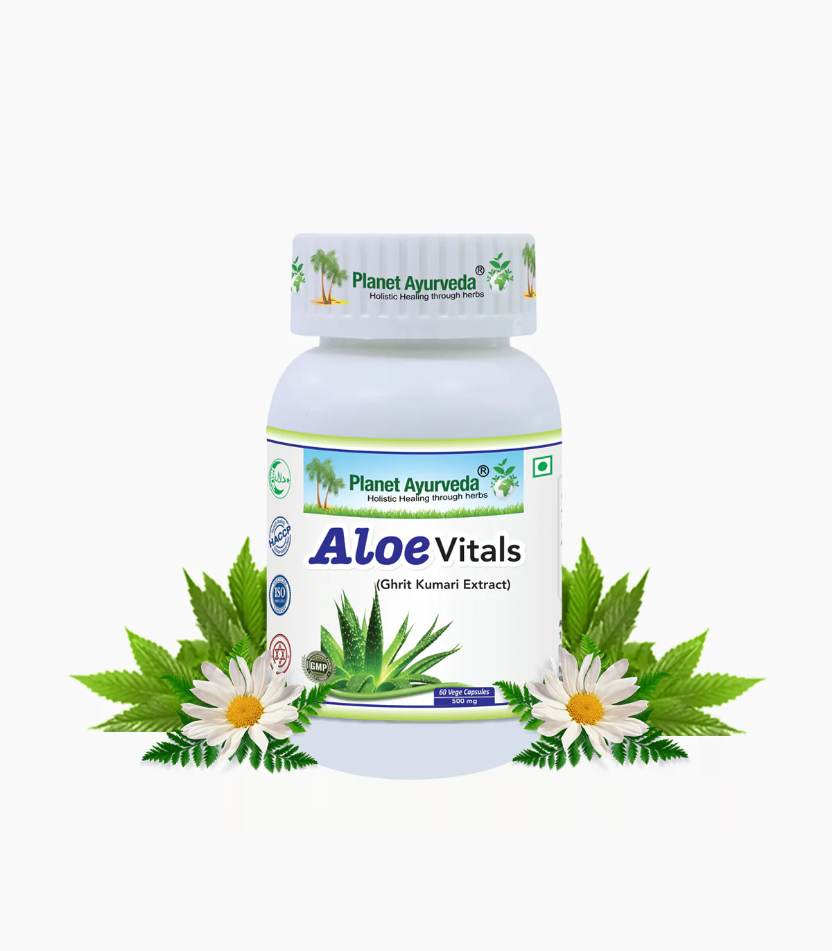 Picture of Planet Ayurveda Aloe Vitals Capsules - 60 Veg Caps