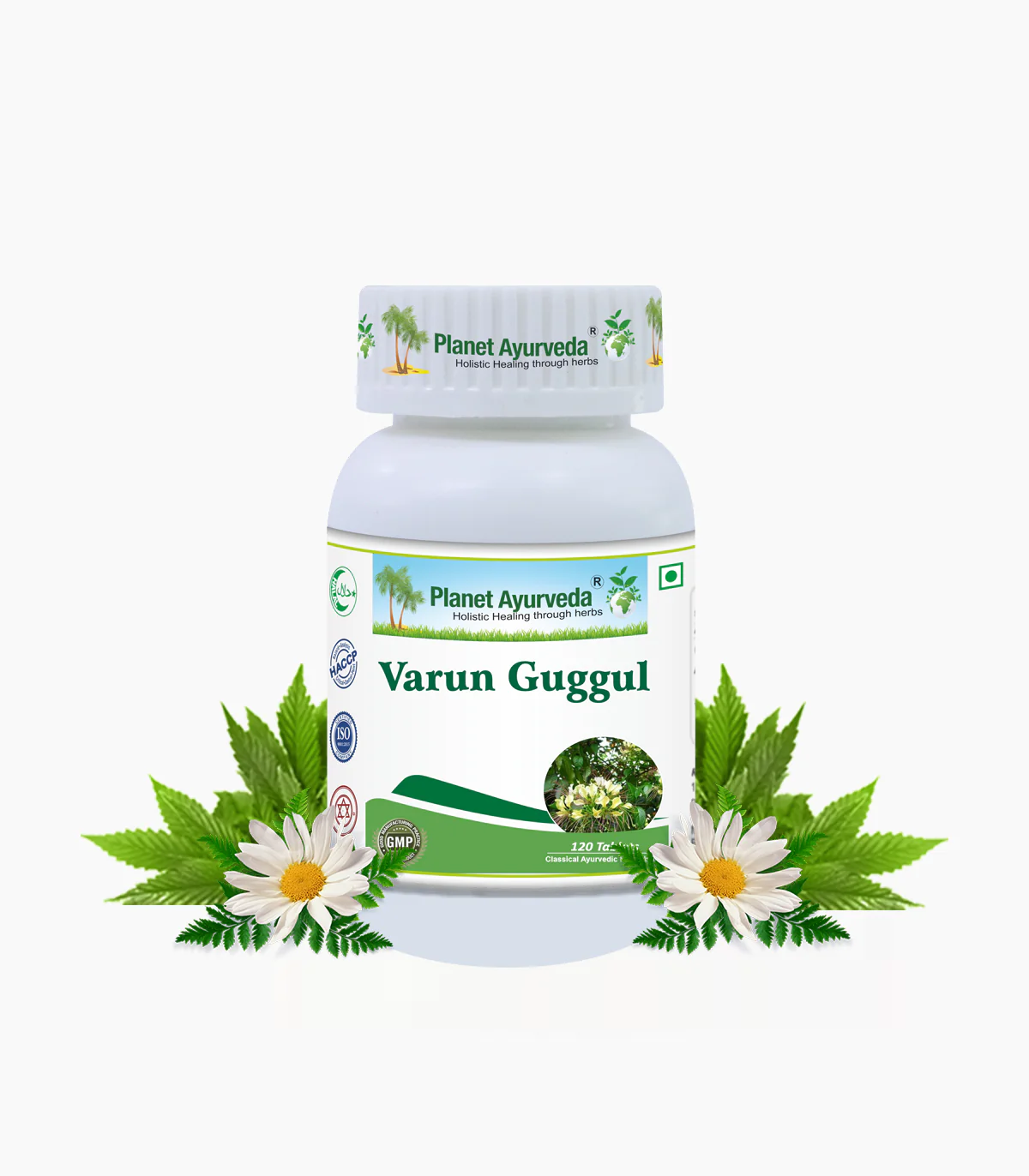 Show details for Planet Ayurveda Varun Guggul - 120 Tabs Picture of Planet Ayurveda Varun Guggul - 120 Tabs