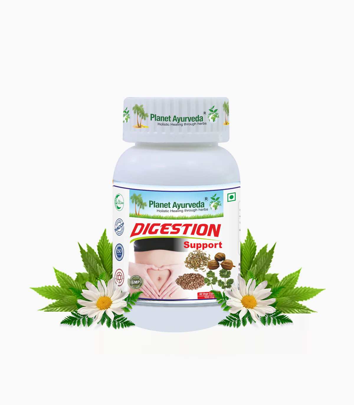 Show details for Planet Ayurveda Digestion Support Capsules - 60 Veg Caps Picture of Planet Ayurveda Digestion Support Capsules - 60 Veg Caps