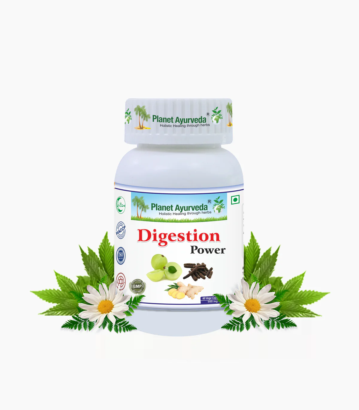 Picture of Planet Ayurveda Digestion Power Capsules - 60 Veg Caps