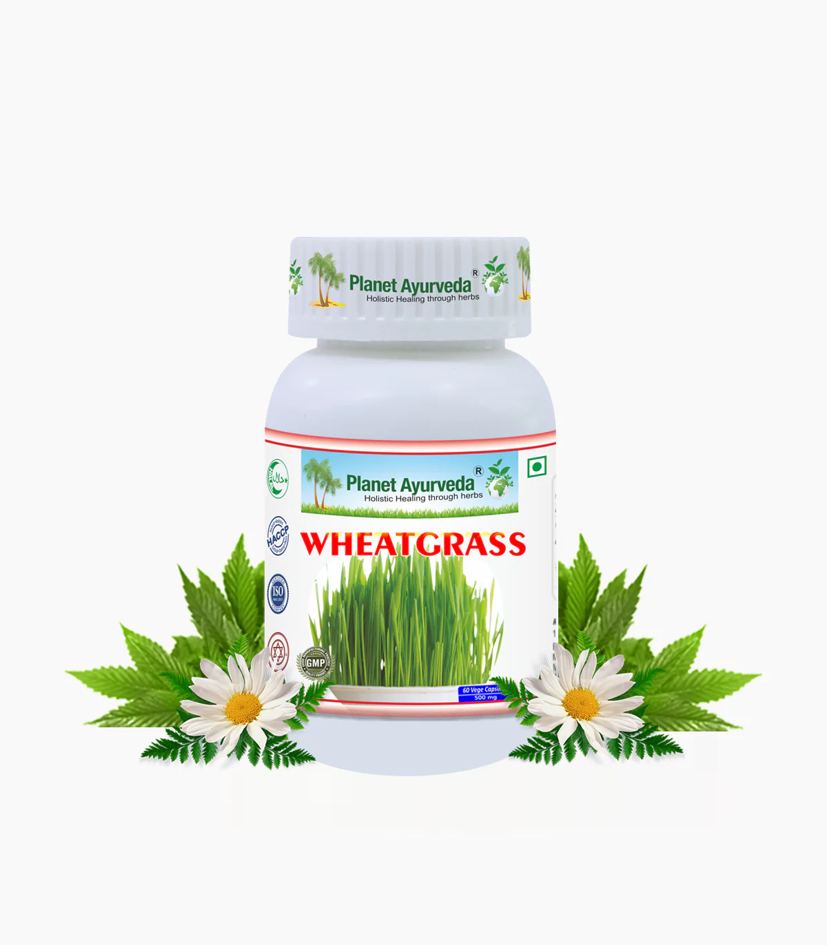 Picture of Planet Ayurveda Wheatgrass Capsules - 60 Veg Caps