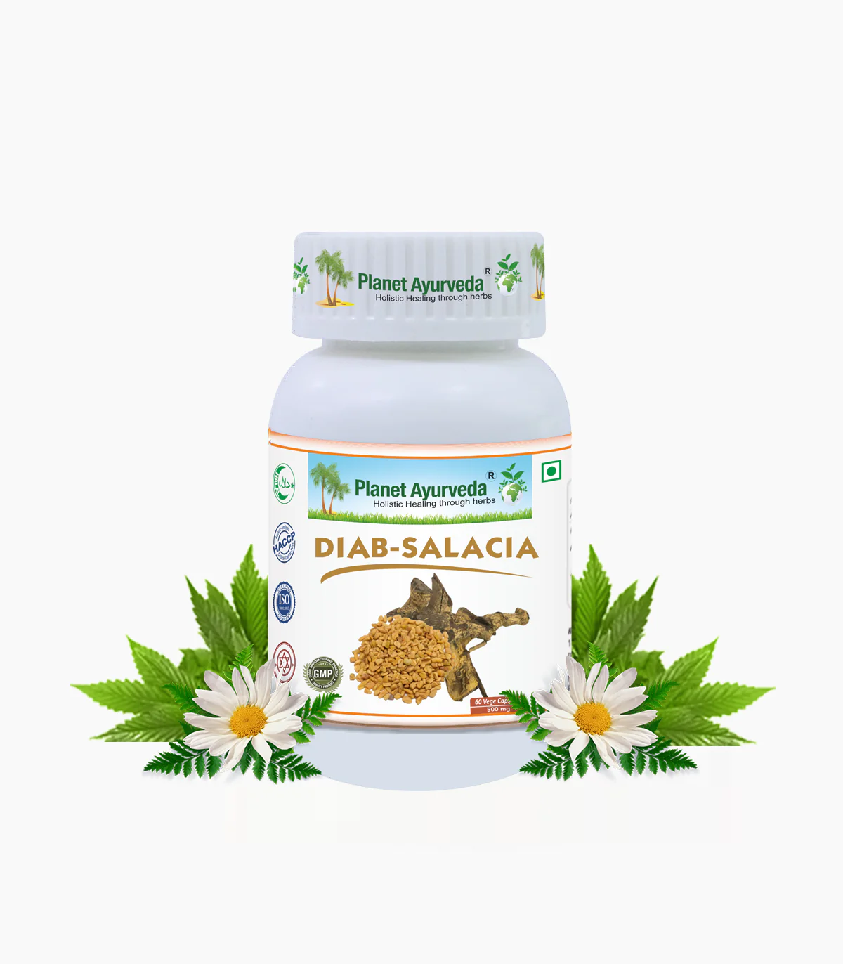 Picture of Planet Ayurveda Diab-Salacia Capsules - 60 Veg Caps