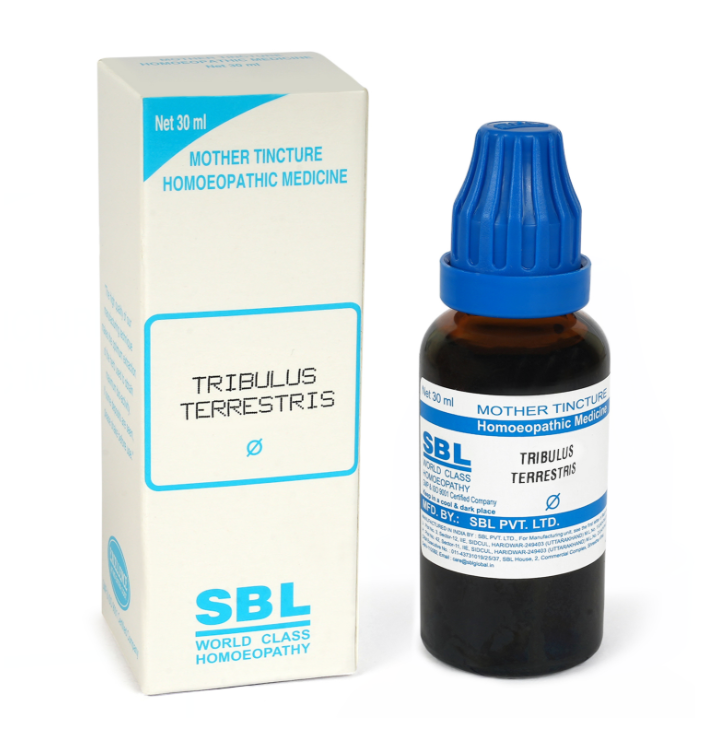 Picture of SBL Homeopathy Tribulus Terrestris Mother Tincture Q - 30 ml