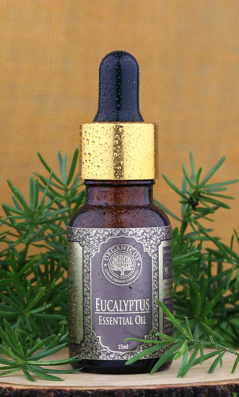 Picture of Organicos Eucalyptus Essential Oil 15 ml