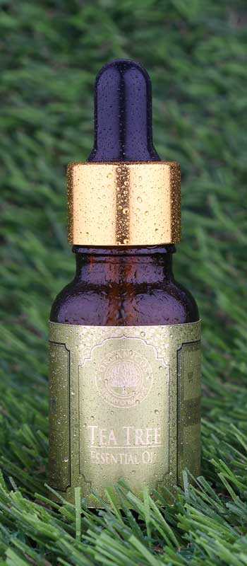 Picture of Organicos Tea Tree Essential Oil 15 ml
