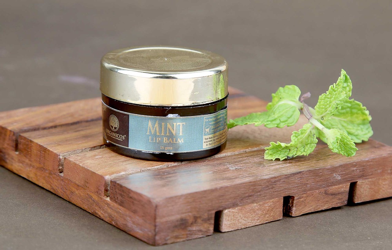 Show details for ORGANICOS MINT LIP BALM 15 GMS Picture of ORGANICOS MINT LIP BALM 15 GMS
