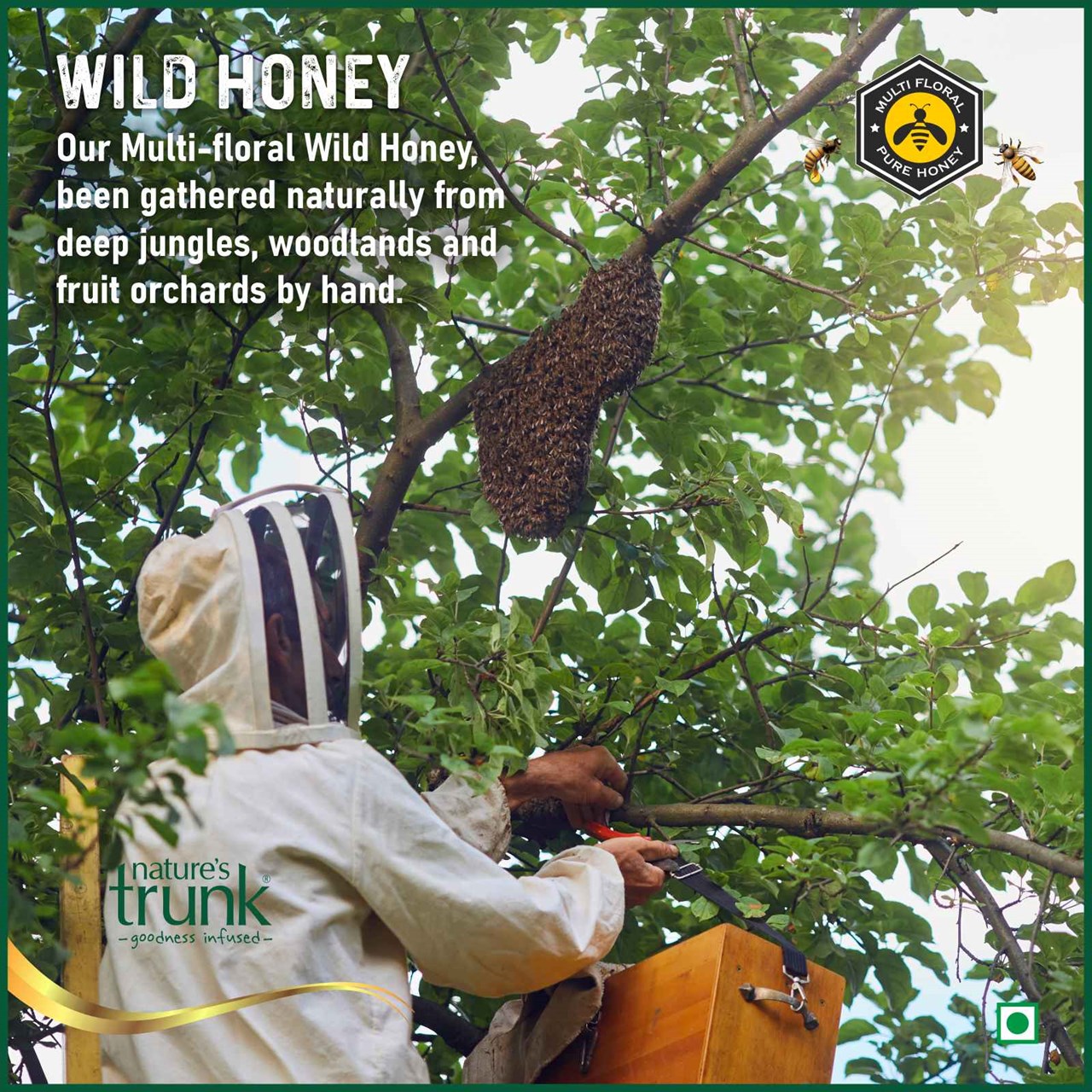 Picture of Wild Forest Honey ( Pure Jungle Honey ) - Multi-floral 675 Grams